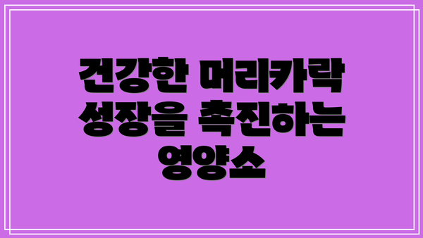 건강한 머리카락 성장을 촉진하는 영양소