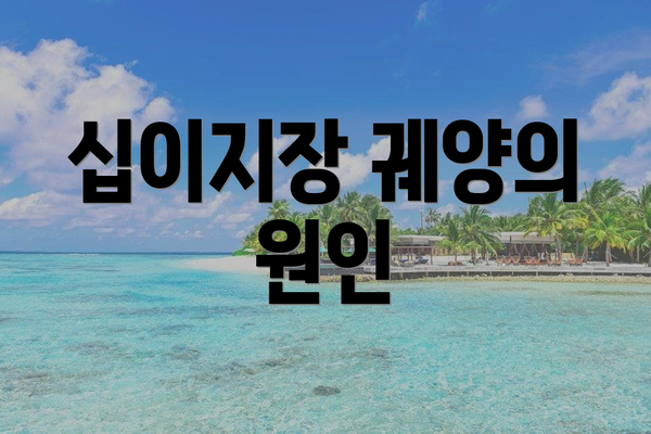 십이지장 궤양의 원인