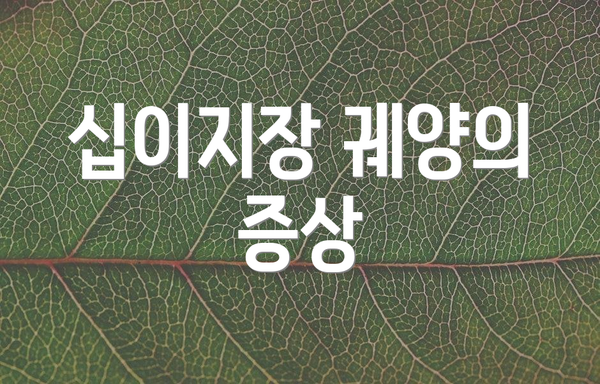 십이지장 궤양의 증상