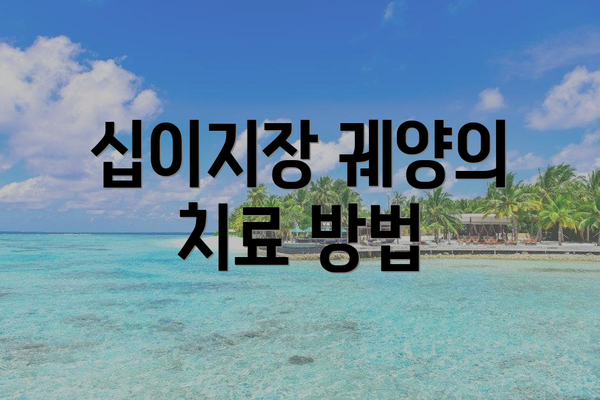 십이지장 궤양의 치료 방법