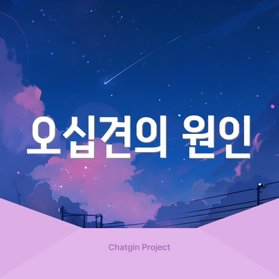 오십견의 원인