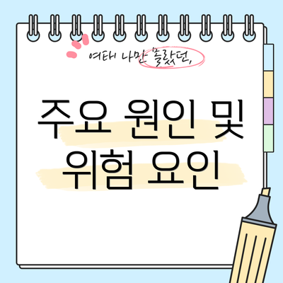 주요 원인 및 위험 요인