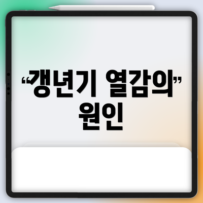갱년기 열감의 원인