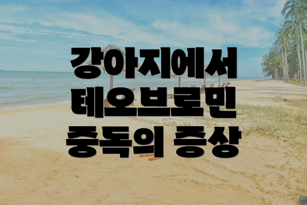 강아지에서 테오브로민 중독의 증상