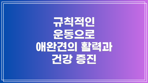 규칙적인 운동으로 애완견의 활력과 건강 증진