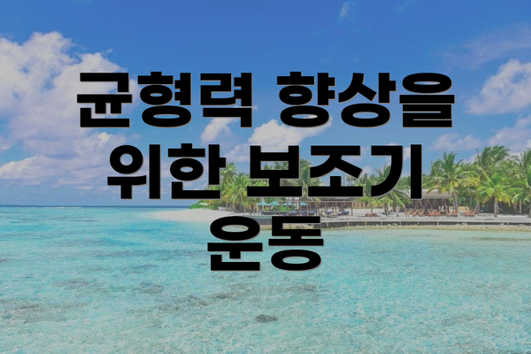 균형력 향상을 위한 보조기 운동