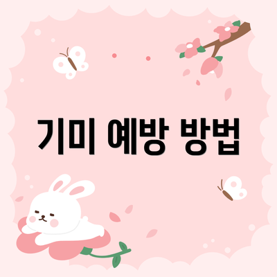 기미 예방 방법