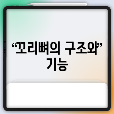 꼬리뼈의 구조와 기능