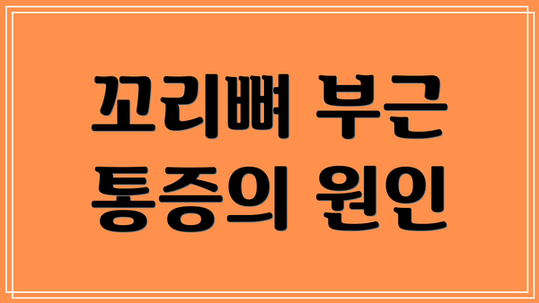 꼬리뼈 부근 통증의 원인