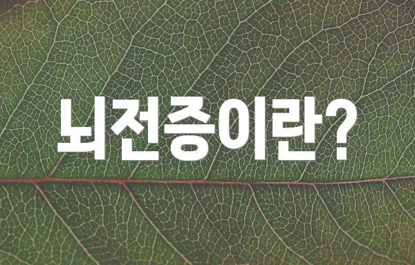 뇌전증이란?