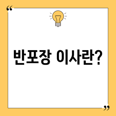 반포장 이사란?