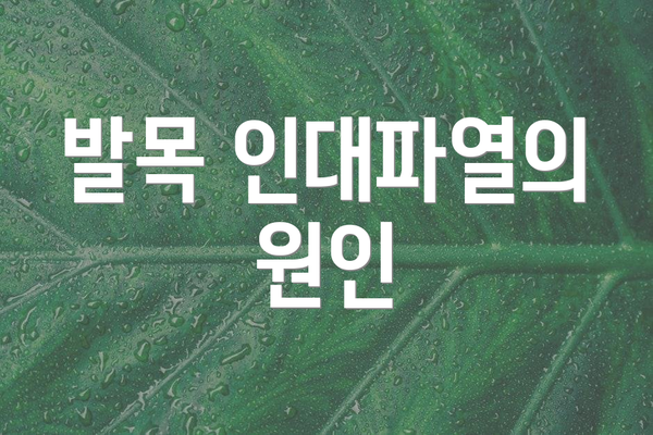 발목 인대파열의 원인