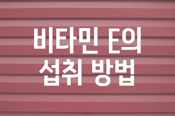 비타민 E의 섭취 방법