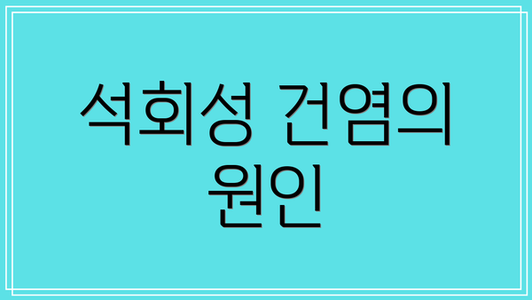 석회성 건염의 원인