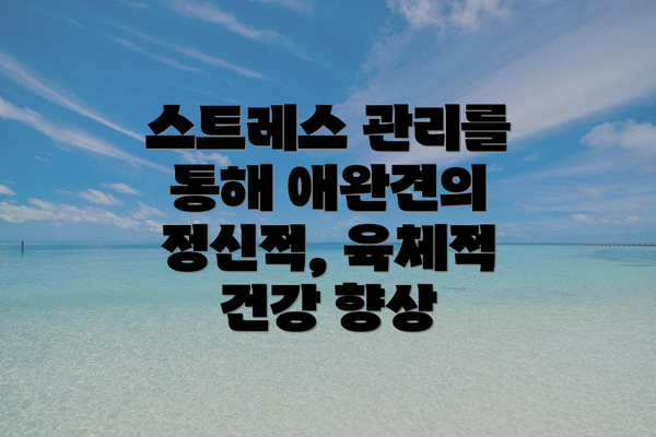 스트레스 관리를 통해 애완견의 정신적, 육체적 건강 향상