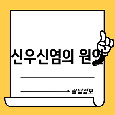 신우신염의 원인