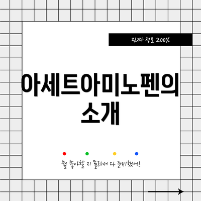 아세트아미노펜의 소개