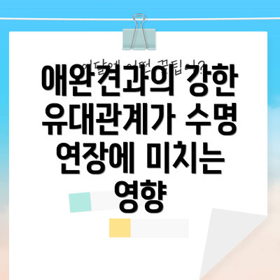 애완견과의 강한 유대관계가 수명 연장에 미치는 영향