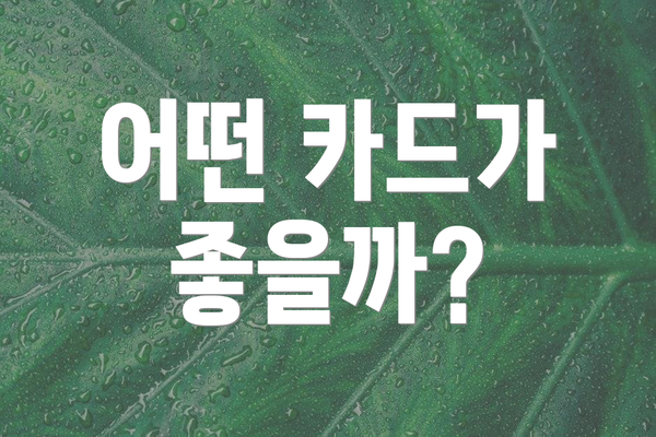 어떤 카드가 좋을까?