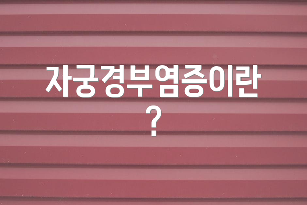 자궁경부염증이란?