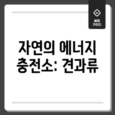 자연의 에너지 충전소: 견과류