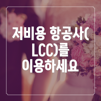 저비용 항공사(LCC)를 이용하세요
