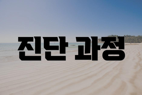 진단 과정