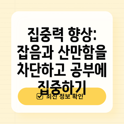집중력 향상: 잡음과 산만함을 차단하고 공부에 집중하기