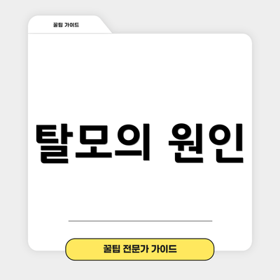 탈모의 원인