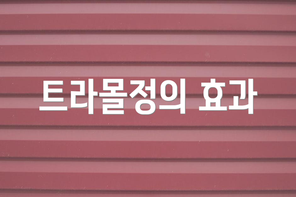 트라몰정의 효과
