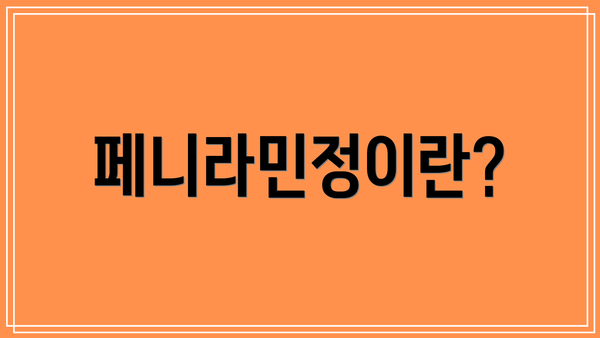 페니라민정이란?