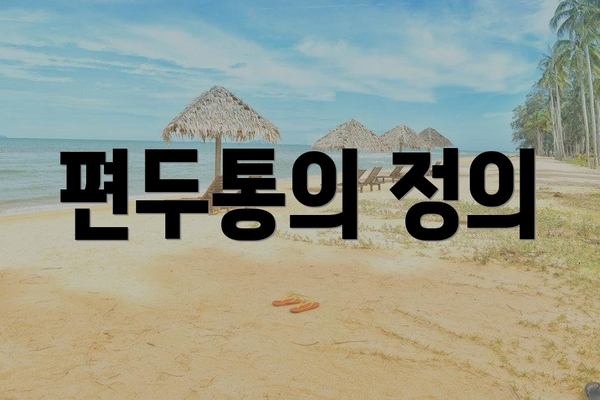 편두통의 정의