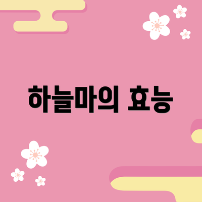 하늘마의 효능
