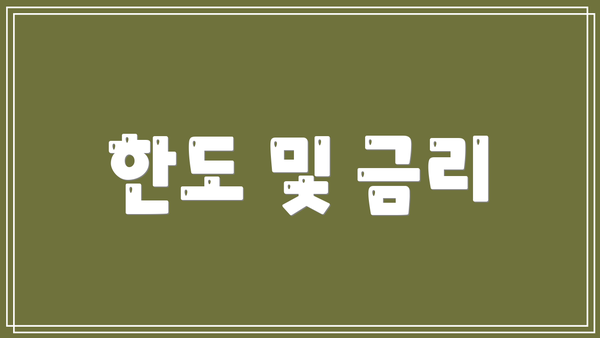 한도 및 금리