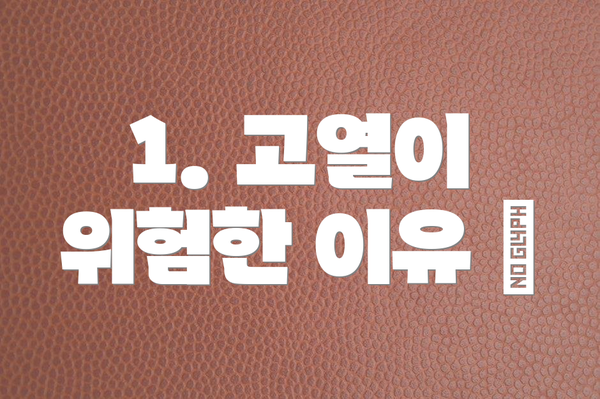 1. 고열이 위험한 이유 🤔