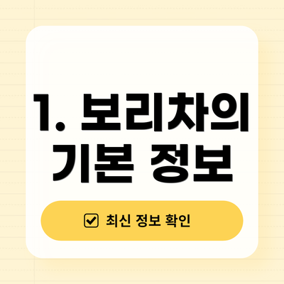 1. 보리차의 기본 정보