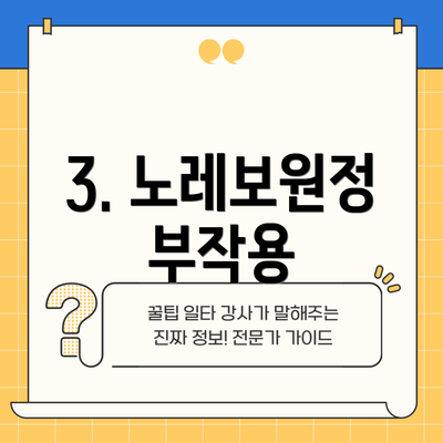 3. 노레보원정 부작용