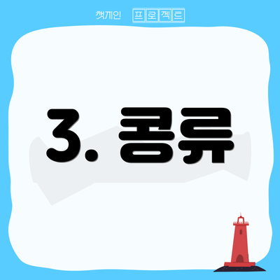 3. 콩류