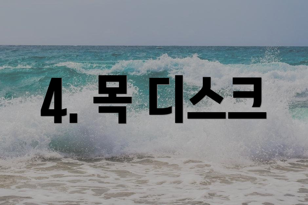 4. 목 디스크