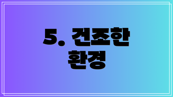 5. 건조한 환경