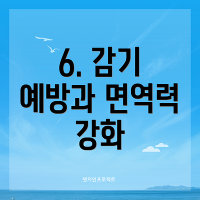 6. 감기 예방과 면역력 강화