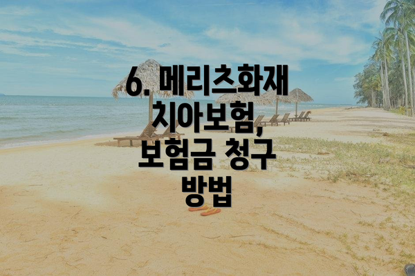 6. 메리츠화재 치아보험, 보험금 청구 방법