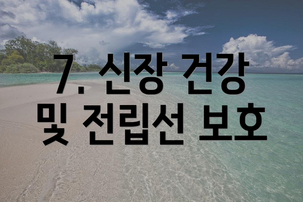 7. 신장 건강 및 전립선 보호