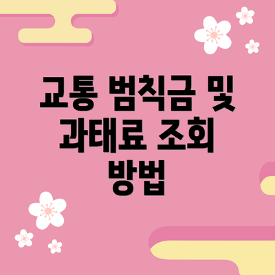 교통 범칙금 및 과태료 조회 방법