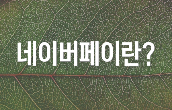 네이버페이란?