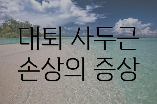 대퇴 사두근 손상의 증상