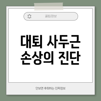 대퇴 사두근 손상의 진단