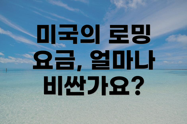 미국의 로밍 요금, 얼마나 비싼가요?