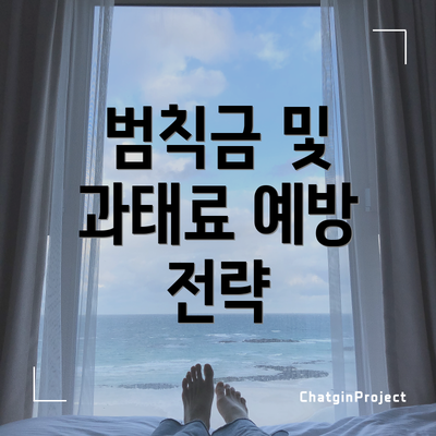 범칙금 및 과태료 예방 전략