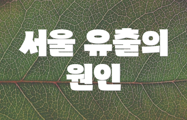 서울 유출의 원인